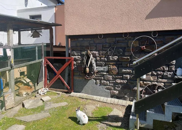 Eifelbrise Apartment Simmerath